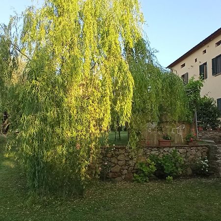 La Bellana Apartment Guardistallo Luaran gambar