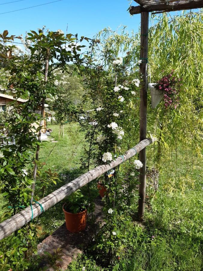 La Bellana Apartment Guardistallo Luaran gambar