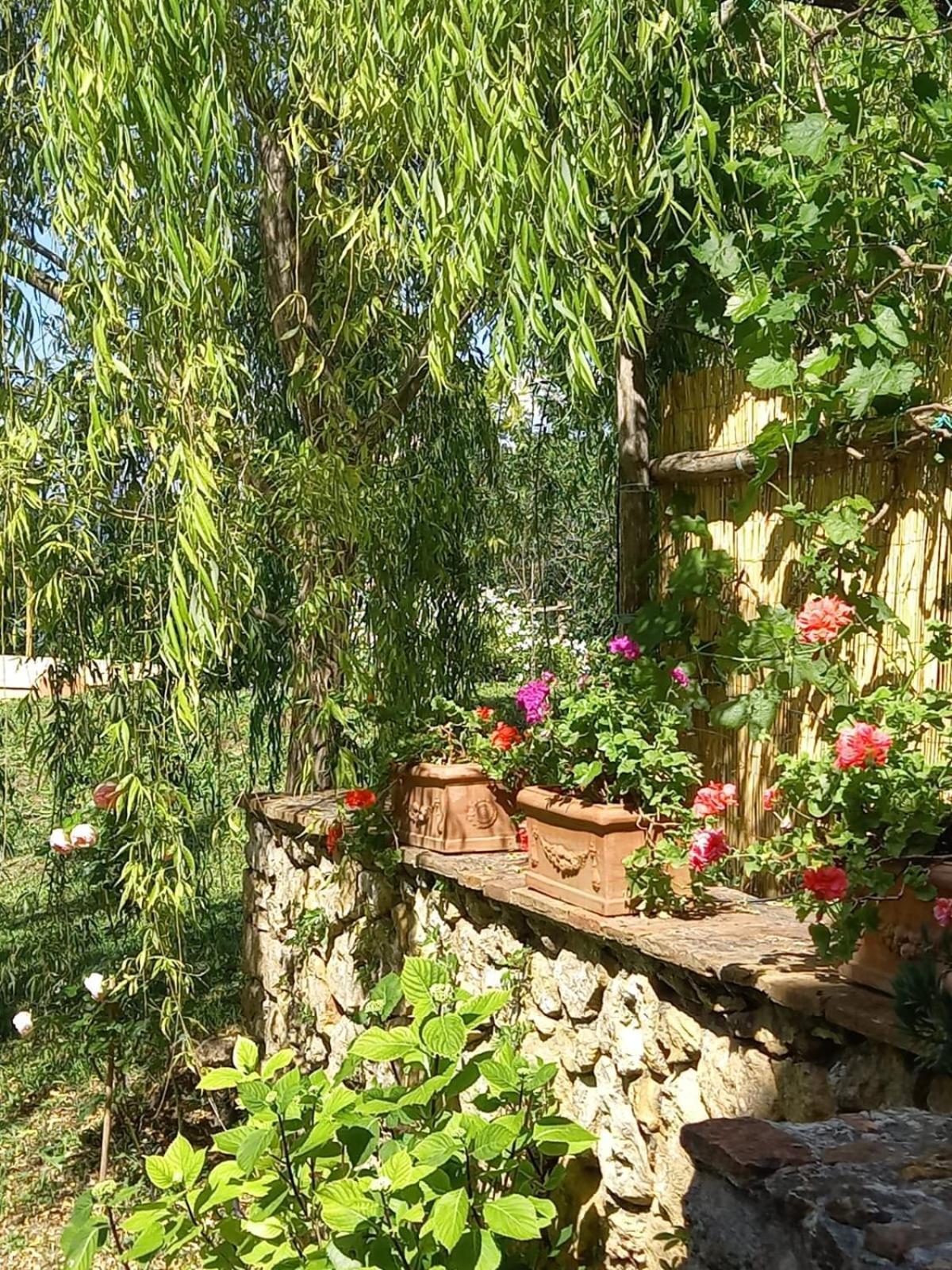 La Bellana Apartment Guardistallo Luaran gambar
