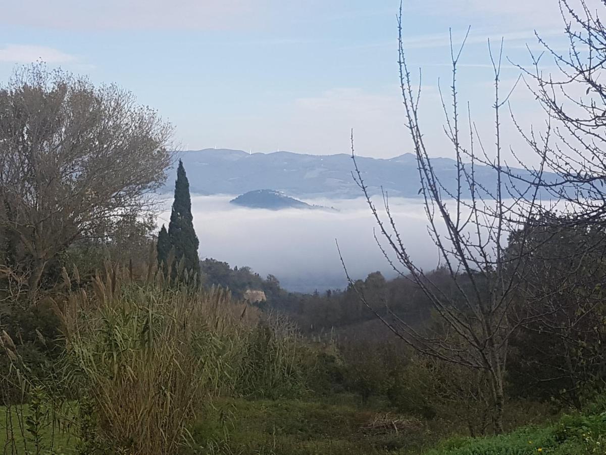 La Bellana Apartment Guardistallo Luaran gambar